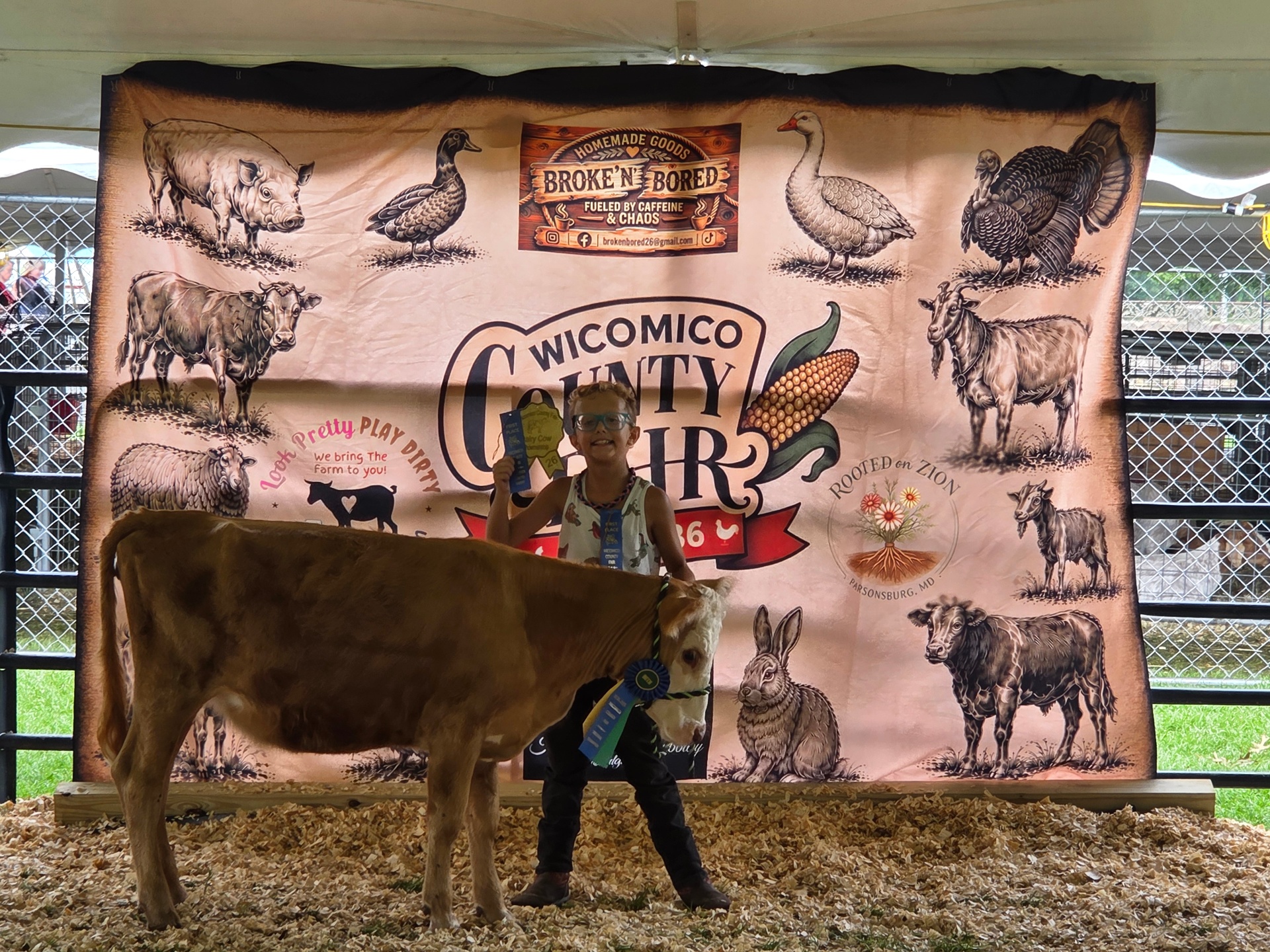 Remington showing an award-winning calf