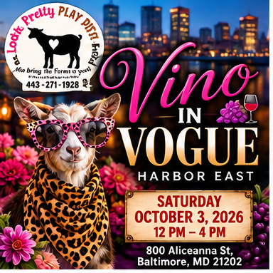 Vino in Vogue — Harbor East, Saturday, October 3, 2026, 12 PM to 4 PM