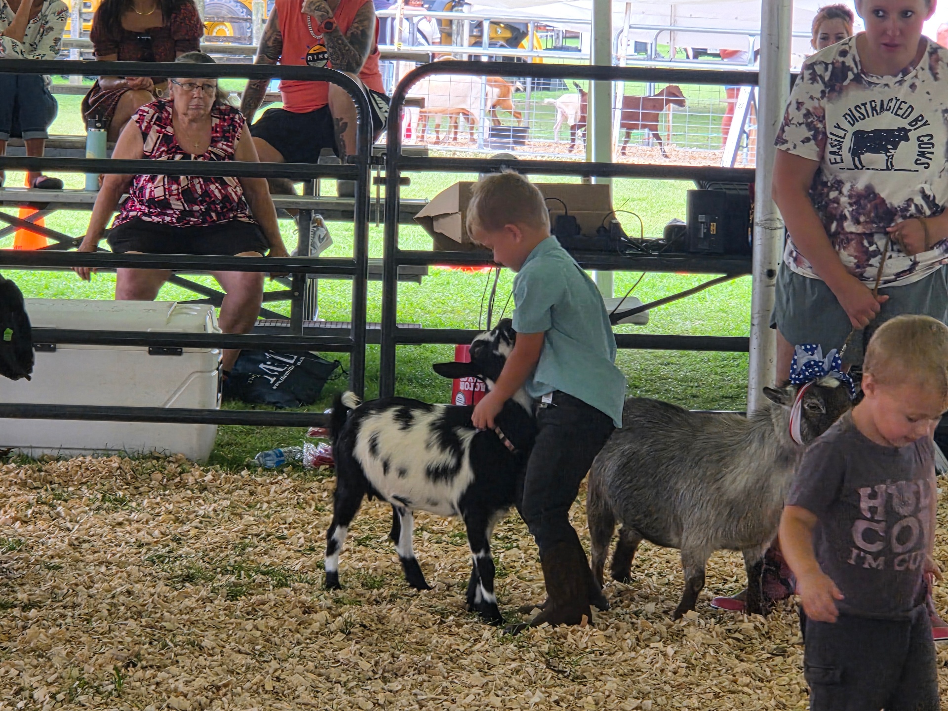 Kason with goats at a petting farm event